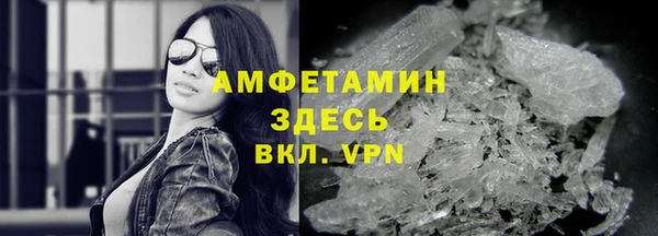 шишки Абаза
