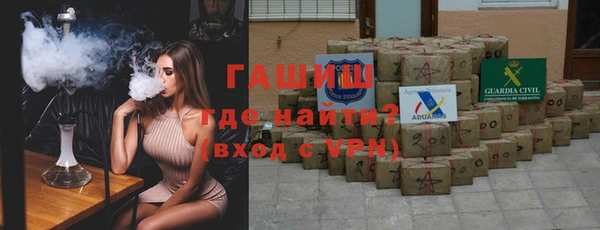 шишки Абаза