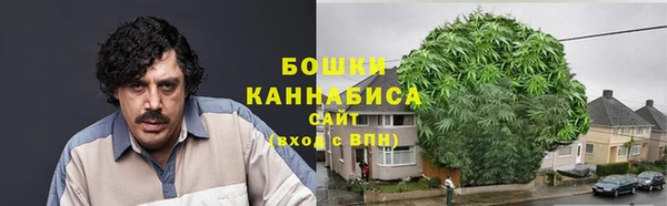 шишки Абаза