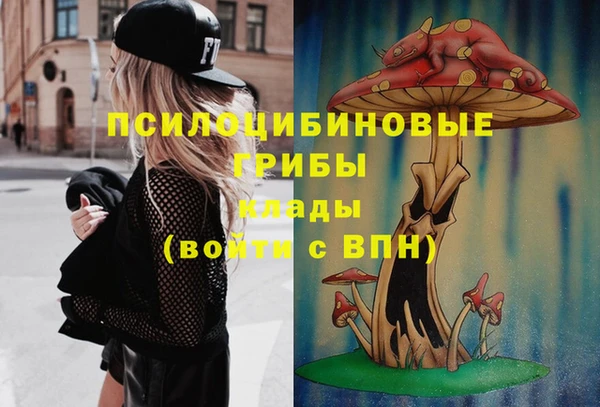 прущие грибы Абинск