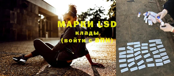 прущие грибы Абинск