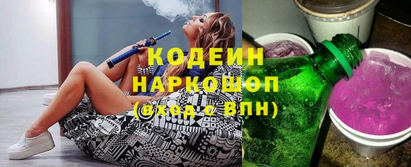 шишки Абаза