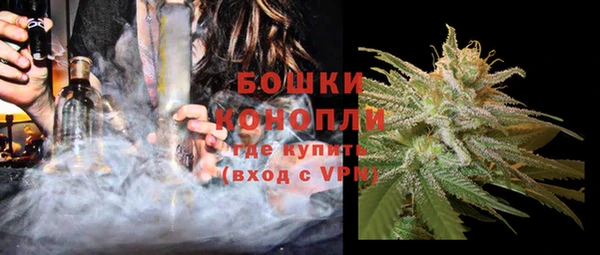 шишки Абаза